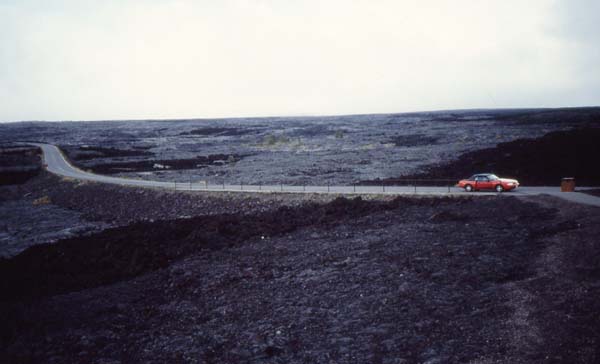 Mustang im schwarzen Lavafeld